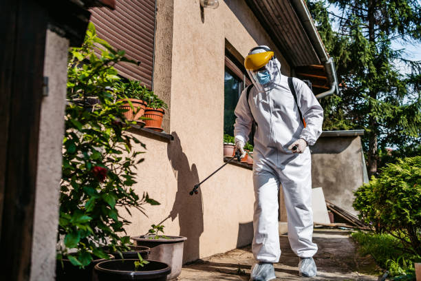 Best Spider Control Near Me  in Forest Hills, MI