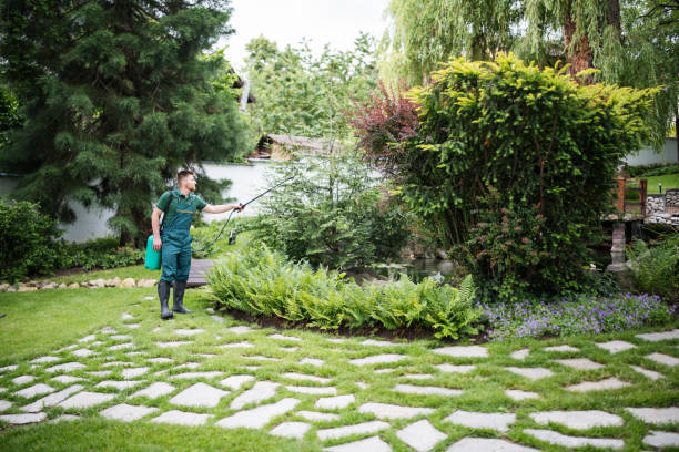 Best Local Pest Control Services  in Forest Hills, MI