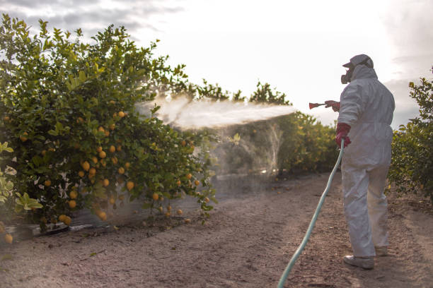 Best Best Pest Control Near Me  in Forest Hills, MI