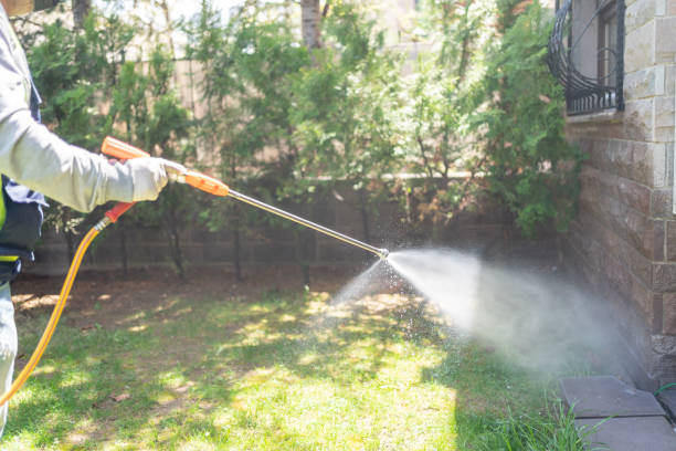 Best Pest Prevention Services  in Forest Hills, MI