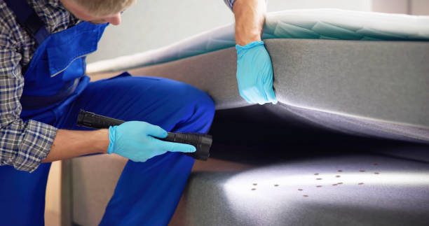 Pest Control Cost in Forest Hills, MI