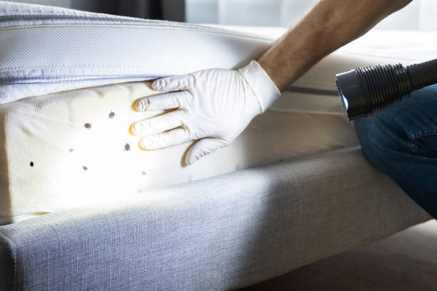 Best Emergency Pest Control  in Forest Hills, MI